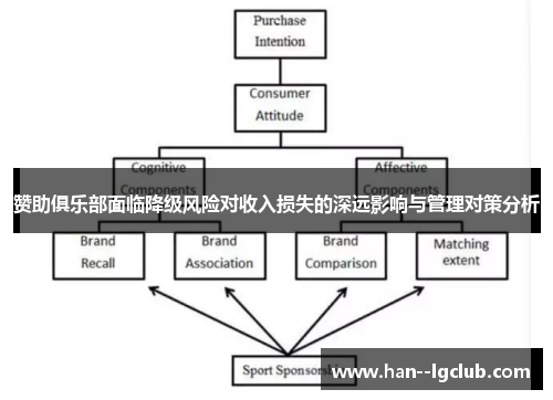 赞助俱乐部面临降级风险对收入损失的深远影响与管理对策分析